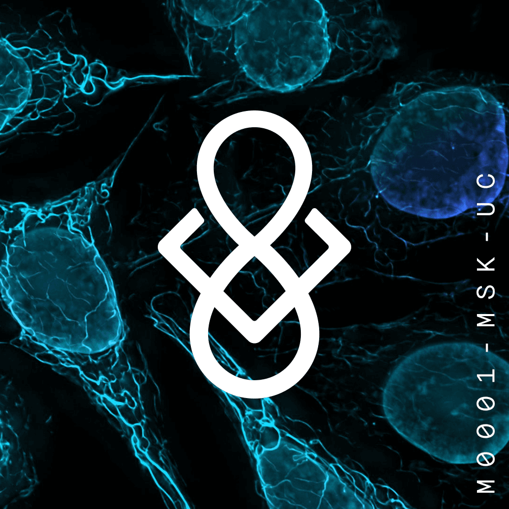 IP-NFTs for Researchers: A New Biomedical Funding Paradigm