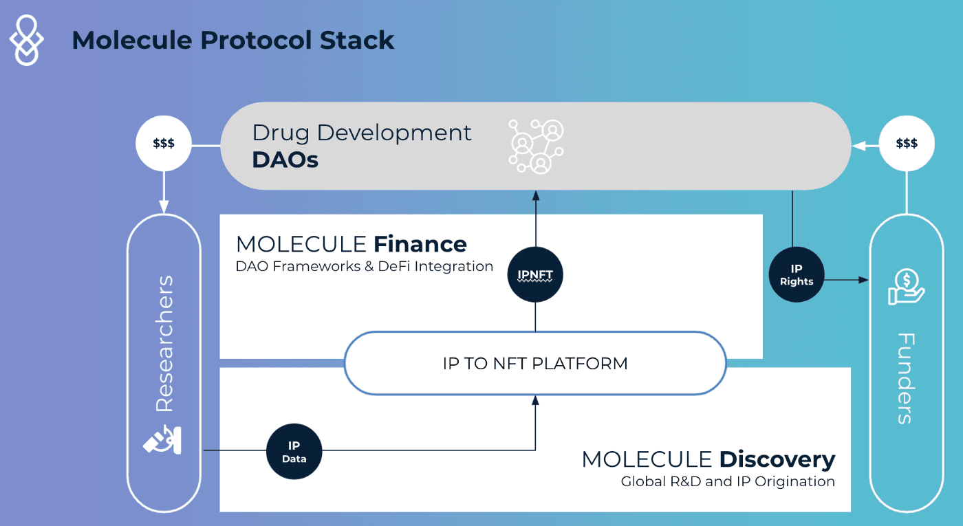 An Open Bazaar for Drug Development: Molecule Protocol