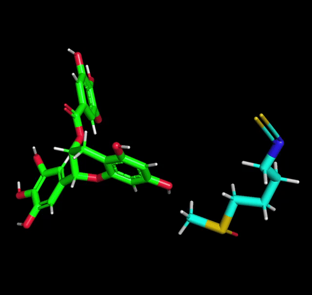 Epigallocatechin gallate token image